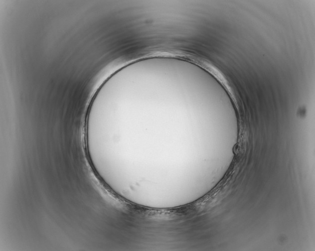 X0000089900811200707262249