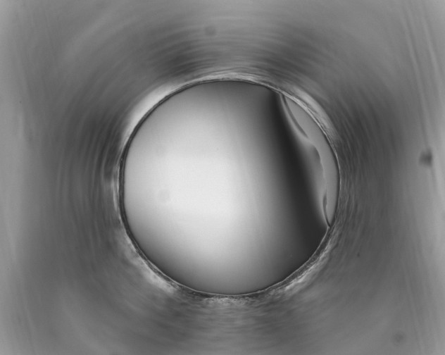 X0000089900812200707262249