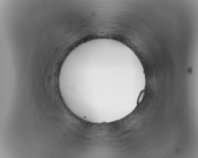X0000089900817200707262248