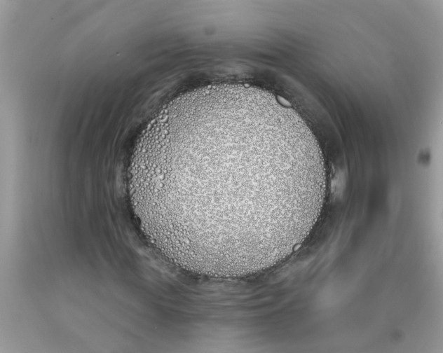 X0000089900819200707262248