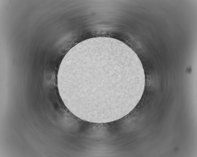 X0000089900820200707262248