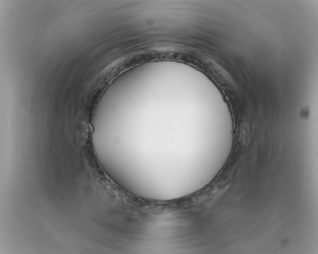 X0000089900821200707262248
