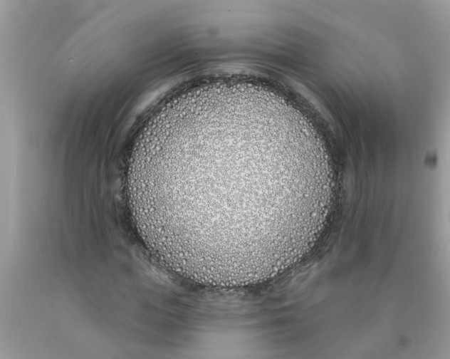 X0000089900823200707262248
