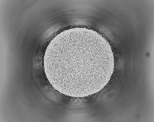 X0000089900824200707262248