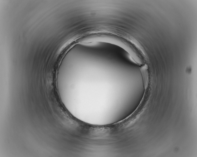 X0000089900826200707262249