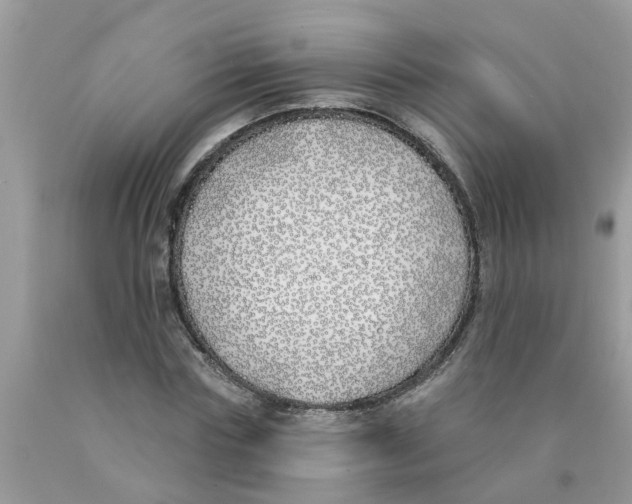 X0000089900827200707262249