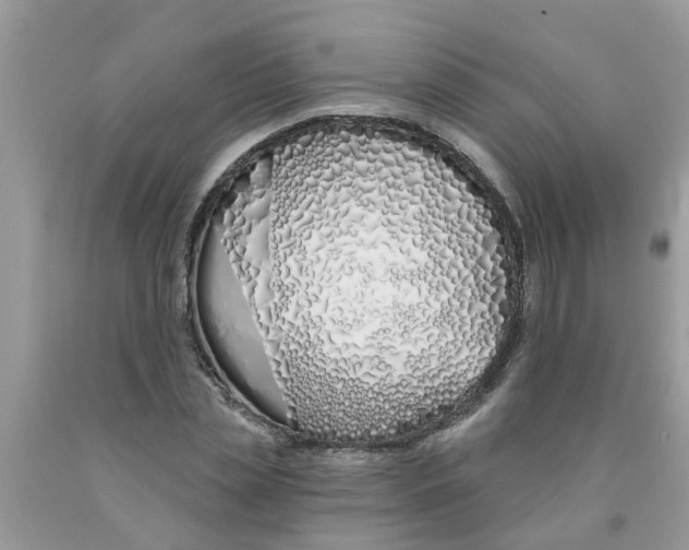 X0000089900829200707262249