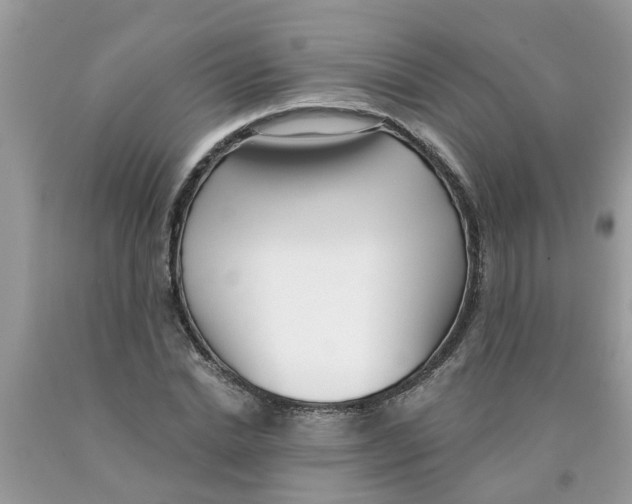 X0000089900830200707262249