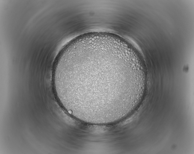 X0000089900831200707262249