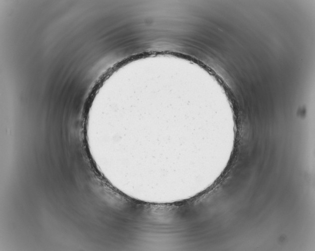 X0000089900832200707262249