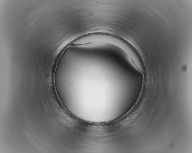 X0000089900834200707262249