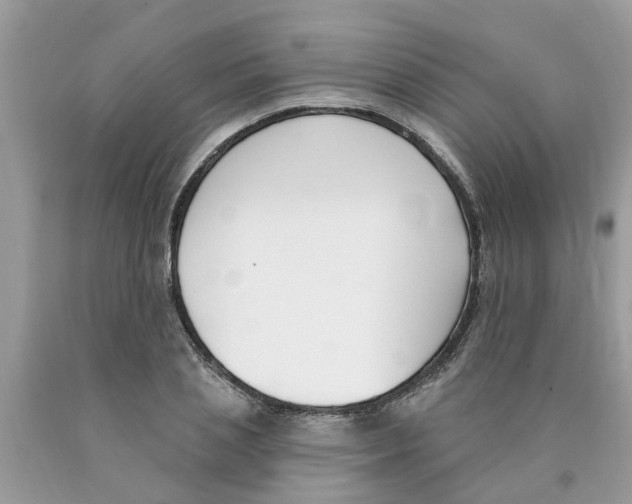 X0000089900837200707262249