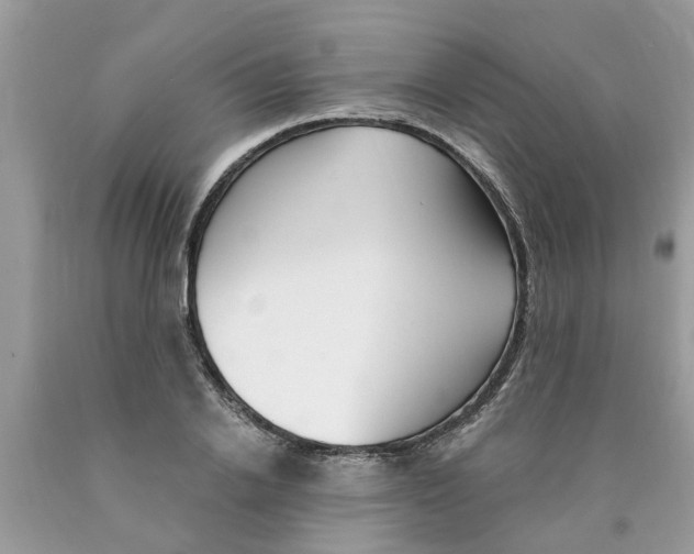 X0000089900838200707262249