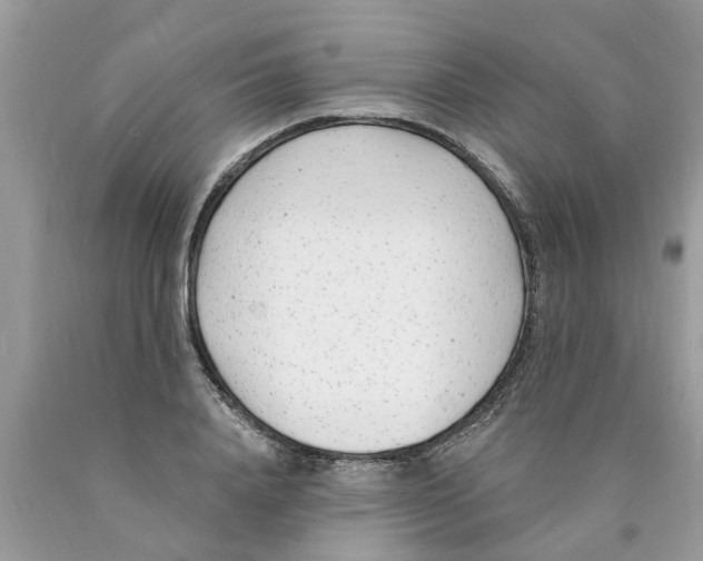 X0000089900840200707262249