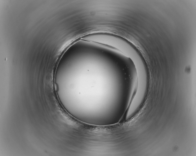 X0000089900842200707262249