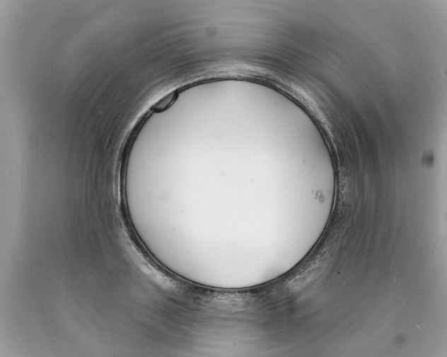X0000089900843200707262249