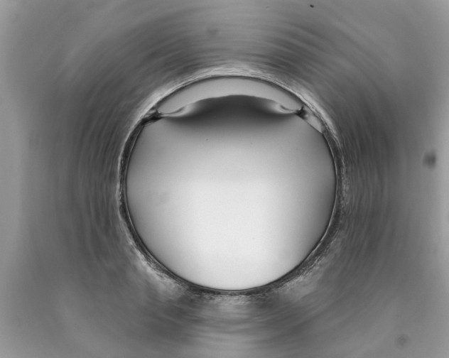 X0000089900845200707262249