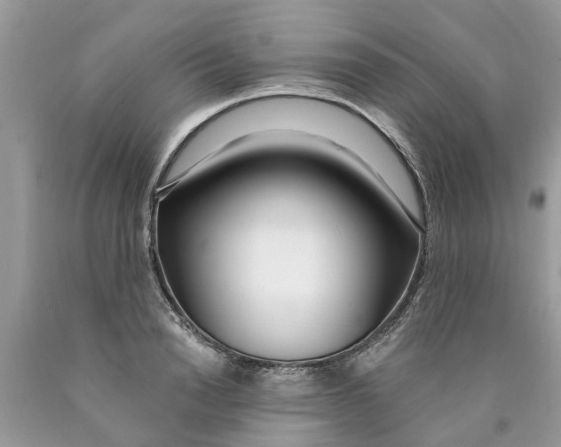 X0000089900846200707262249