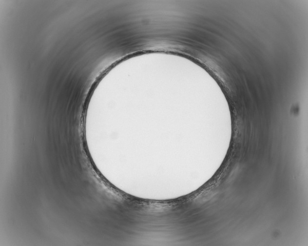 X0000089900848200707262249