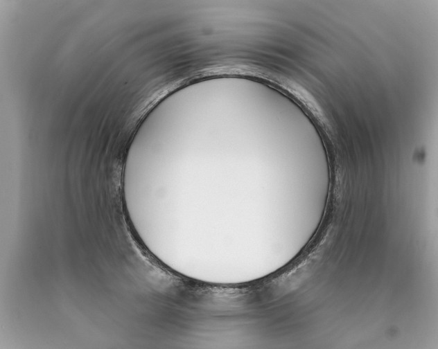 X0000089900849200707262249