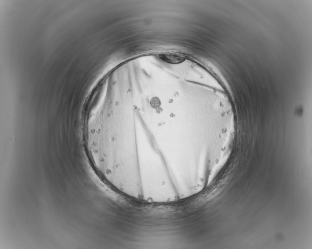 X0000089900851200707262249