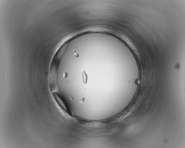 X0000089900853200707262249