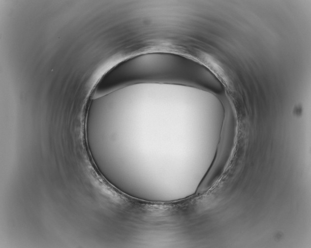 X0000089900854200707262249