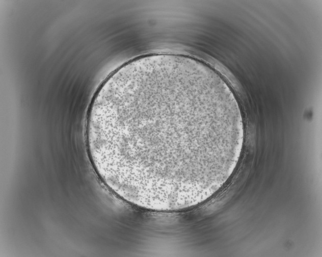X0000089900856200707262249