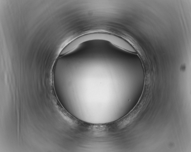 X0000089900858200707262249