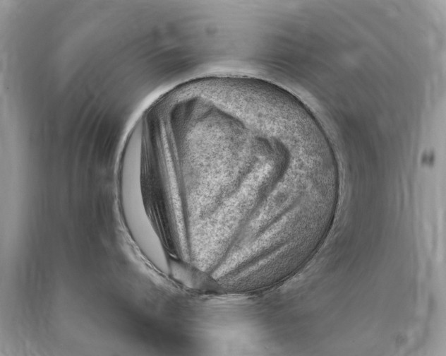 X0000089900864200707262249