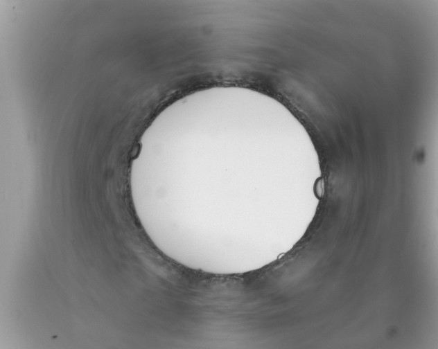 X0000089900865200707262248