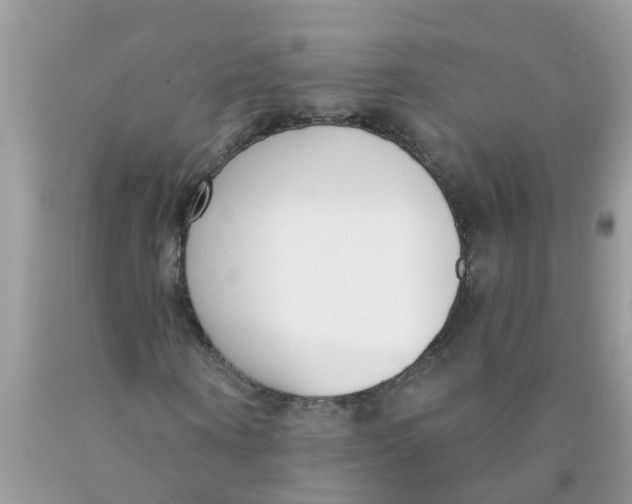 X0000089900866200707262248