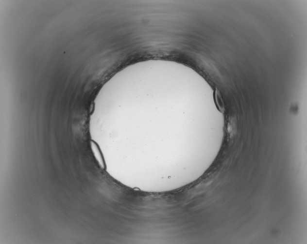 X0000089900867200707262248