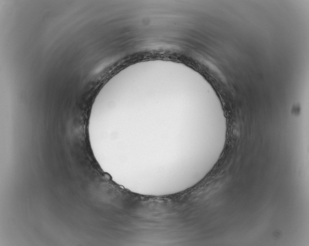 X0000089900869200707262248