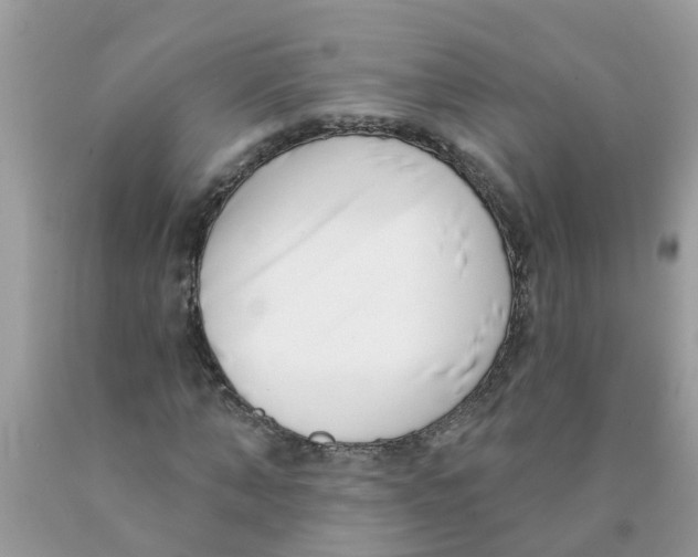 X0000089900870200707262248