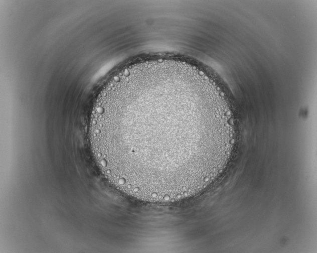 X0000089900871200707262248
