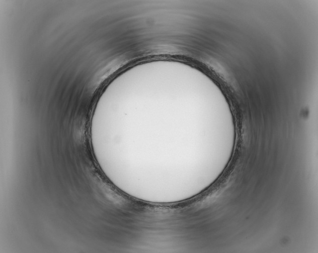 X0000089900873200707262248