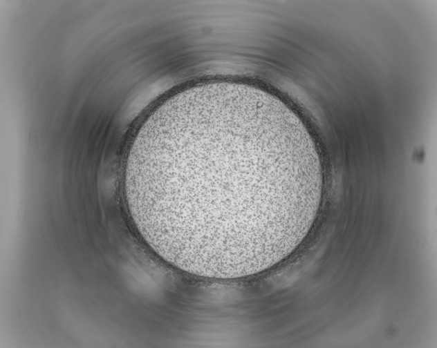 X0000089900874200707262248