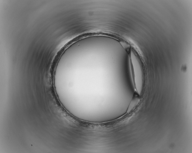 X0000089900876200707262248