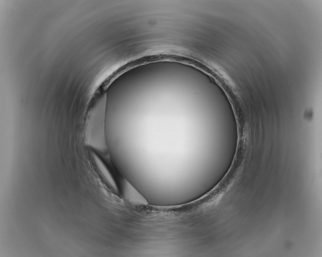 X0000089900877200707262248