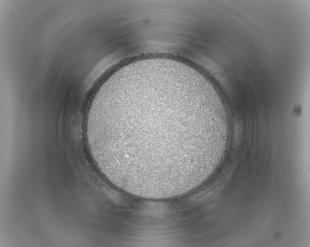 X0000089900878200707262248