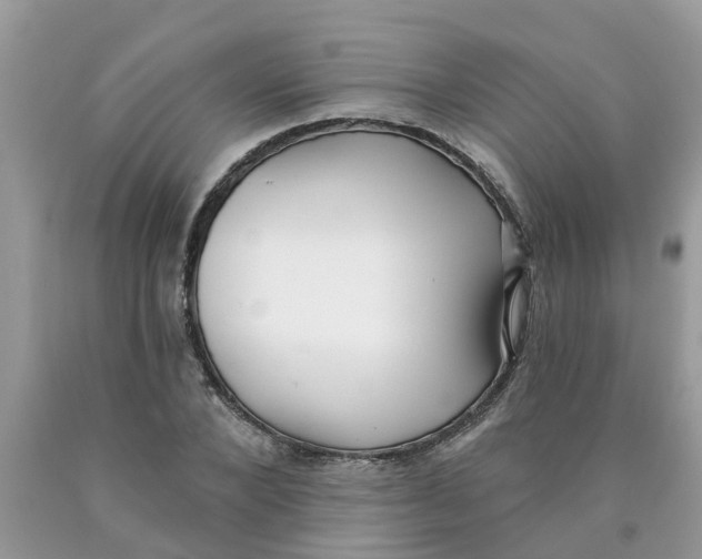 X0000089900880200707262248
