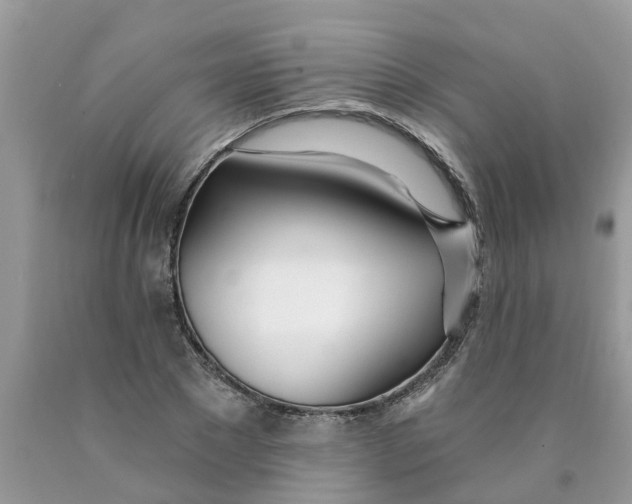 X0000089900881200707262248