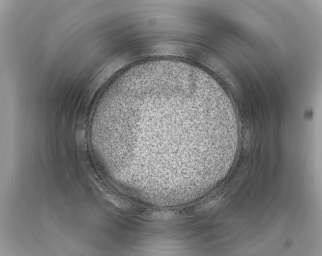 X0000089900882200707262248