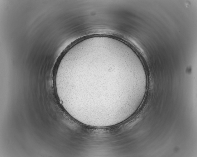 X0000089900883200707262248