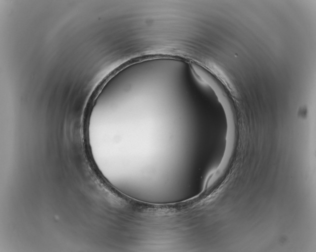 X0000089900884200707262248