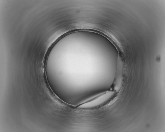 X0000089900885200707262248