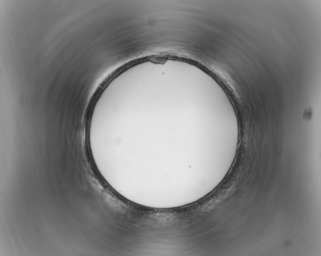 X0000089900888200707262248