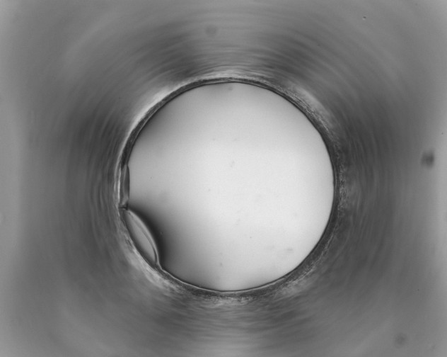 X0000089900892200707262248