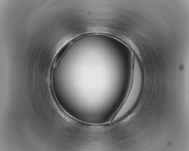 X0000089900893200707262248